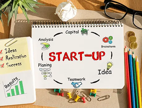 Skills Entrepreneurship and Startup Overview SGSU
